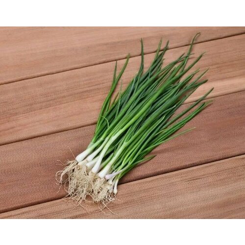 ���� ������������� ������ ���� �� ������ ������, ������ �� 104 ���