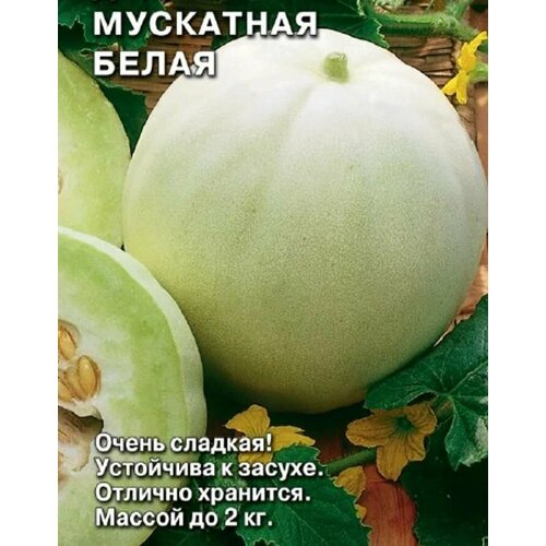 ���� ������������� ������ ���� ��������� �����, ������ �� 104 ���