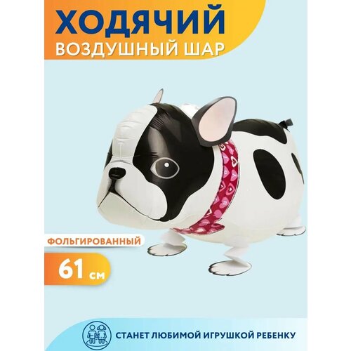 ���� ��������� ��� ������� ������ �������, ������ �� 307 ���