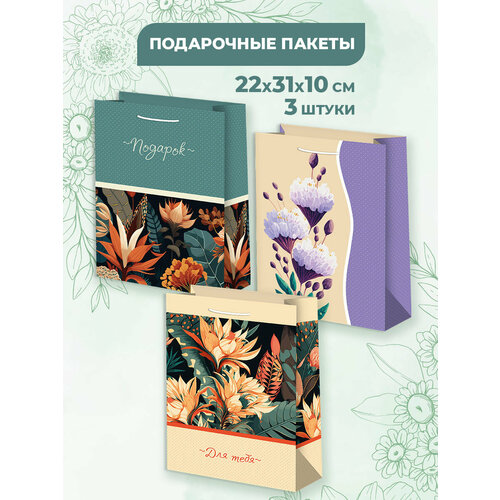 ���� ����� ���������� ������� ������ 