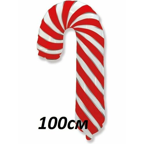 ���� ��������� ���� �� ����� ��� 2025 ��� ����� �������� ���� ������, ������ �� 294 ���