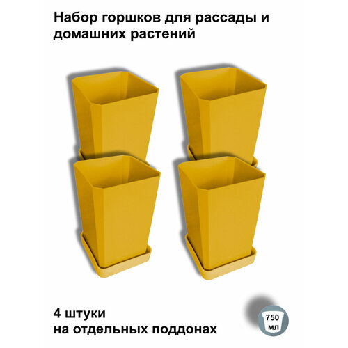 ���� ������ ��� ������� � ������, 4 ����� �� ��������� ��������, ������, ������ �� 542 ���