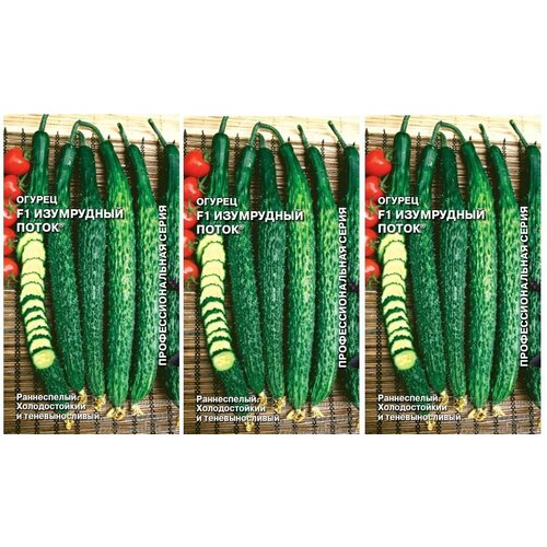 ���� �����. 3 �������� * 0,2 � ������ ������ ���������� ����� F1 0,2 � (�����), ������ �� 211 ���