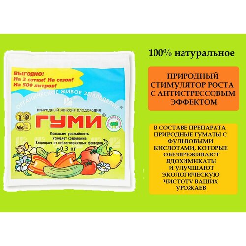 ���� ����������� ����������������� ��������� 