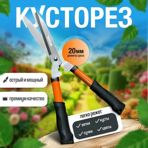 ���� �������� ������� ���� 500 ��, ���� �� 20 ��, ������������ �����, ������� ������� ��� ����� ��������, ��������, ������ �� 634 ���