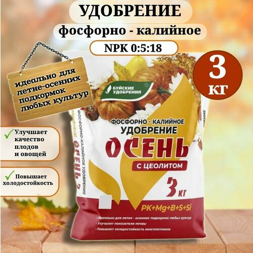 ���� ��������� ��������-�������� 