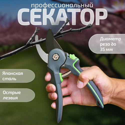 ���� ������� ��������, ������� ���������������� ��� ���� � �������, ������ �� 1124 ���