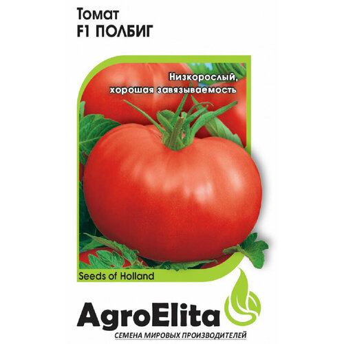 ���� ������ ����� ������ F1 10�� ��� ������ (���������) ���������, ������ �� 47 ���