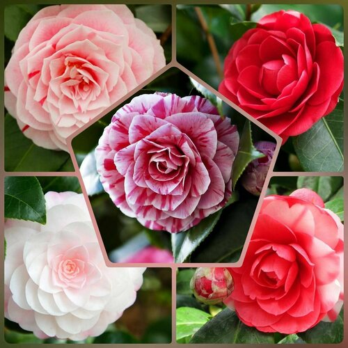 ���� ������ ��������� ������ ������� �������� 10 ��. �����������, ������ �� 420 ���