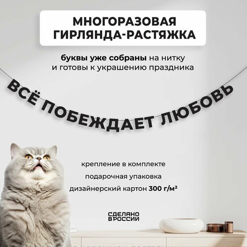 ���� ��������-�������� �������� �Ѩ ��������� ������ (240 ��) - ������ ����� � �������� ������� ���� ��� �������� ��������, ������ �� 800 ���