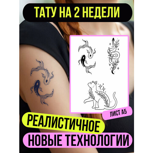 ���� ���� ���������� �������������� ��������, ������ �� 450 ���