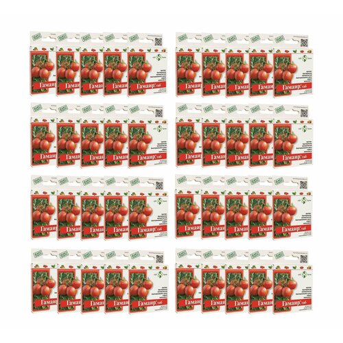 ���� ����������������� ������, 40 �� �� 20 ��������, ������ �� 3204 ���