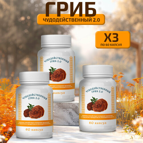 ���� ��������������� ���� �� ��������� � ��������, ������ �� 1740 ���