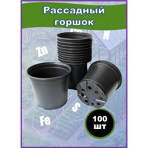 ���� ������ ��������� �������, ����������� 1�, 100��, ������ �� 1498 ���