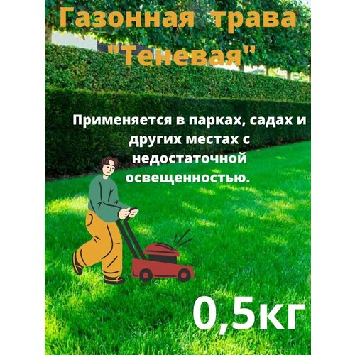 ���� �������� ����� 