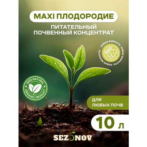    MAXI ,  ,     , 10 ,   1350 