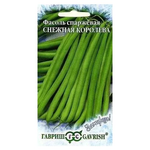 ���� ������ ��������� ������� ��������, ������ ������ �������� 10��, ������ �� 51 ���