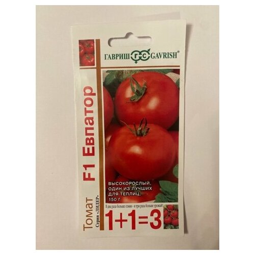 ���� ����� 