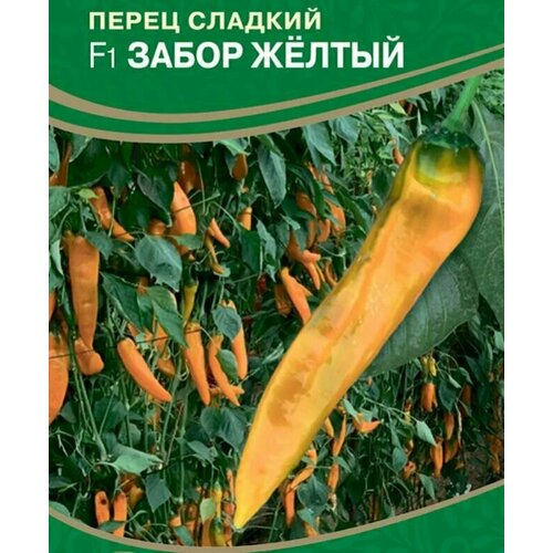 ���� ������������� ������ ����� �������� ����� ������ F1, ������ �� 122 ���