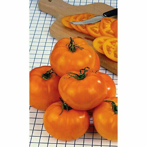 ���� ������ ����� ����������� (����) �/�, ������ �� 29 ���