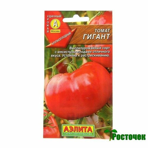 ���� ����� ������, ������ �� 115 ���