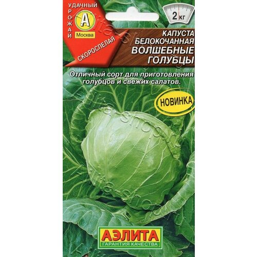 ���� ������ ������� ������������ 