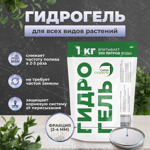 ���� ��������� ���� �������, ��� ������� � ��������� ��������, 1 ��, ������ �� 850 ���