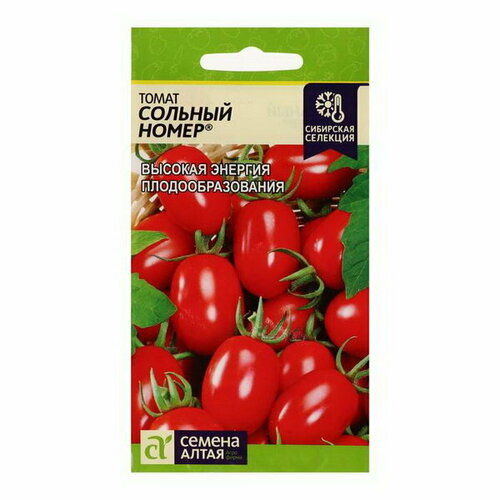 ���� ������ ����� 