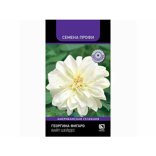 ���� �������� ������ ���� ������ (������ �����) (��) (