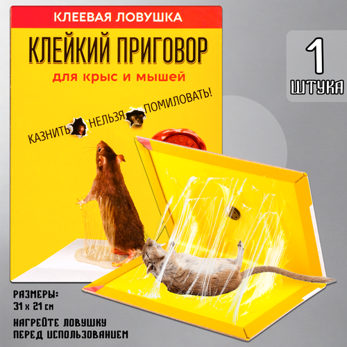    ,    ,  ,  ,  , , 1 ,   169 