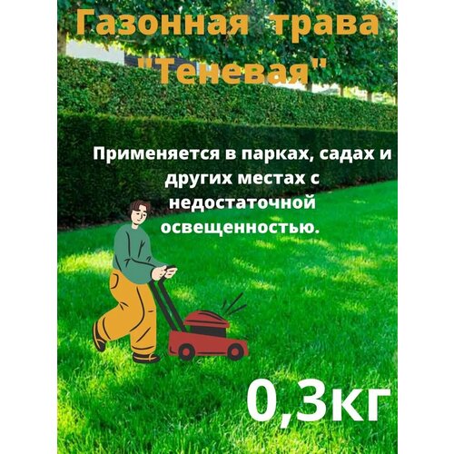 ���� �������� ����� 