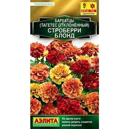 ���� �������� ��������� ����� 5�� ������, ������ �� 119 ���