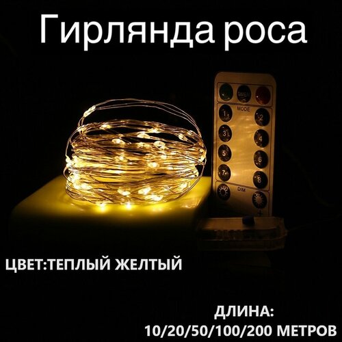 ���� �������� ����������� 