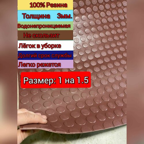       1  1.5 (,  )    , , ,  ,   3900 