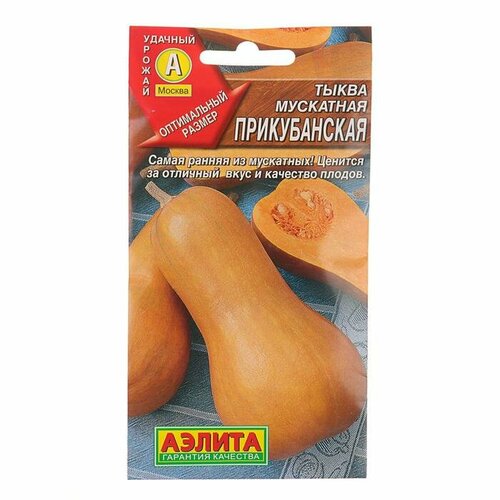 ���� ������ ����� ��������� 