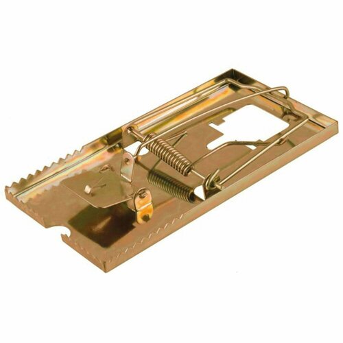    88  162 , Mr. Mouse,   308 