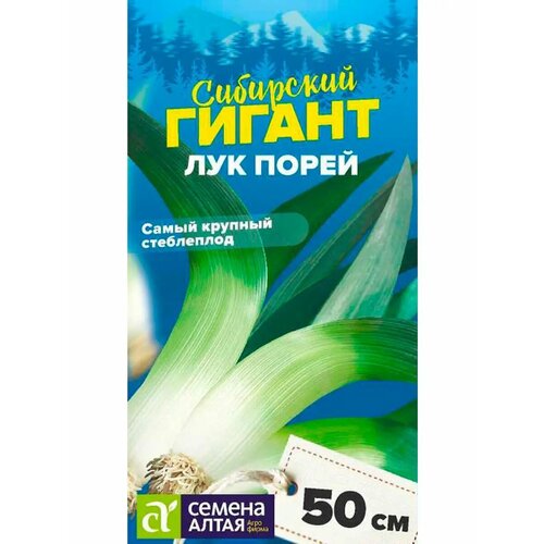 ���� ��� ����� 