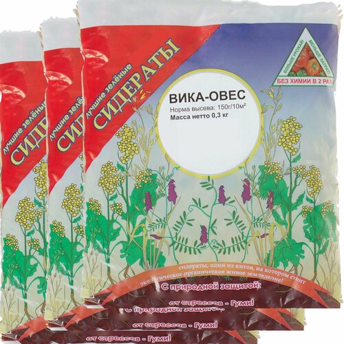 ���� ������� 