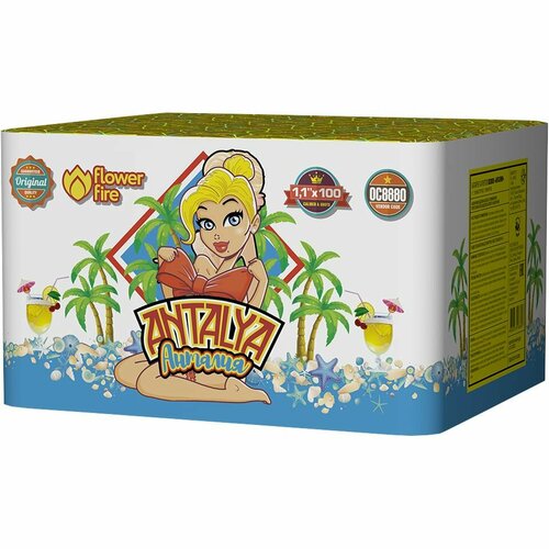 ���� ��������� �������� ������ �������, ������ �� 12390 ���