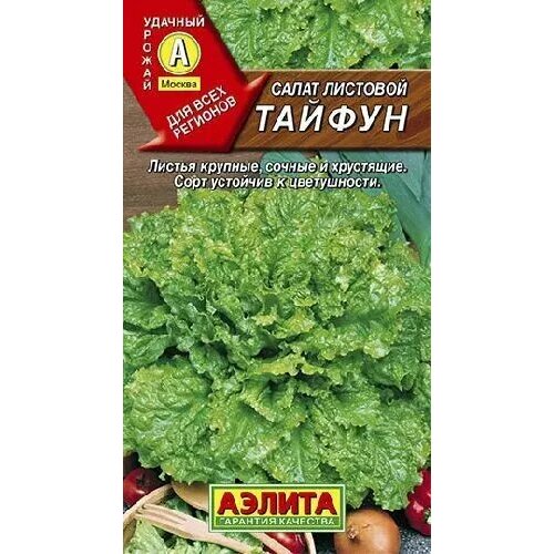 ���� ����� ������, ������ ������ 0,5�, ������ �� 42 ���