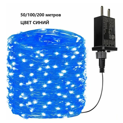 ���� �������� ����������� 