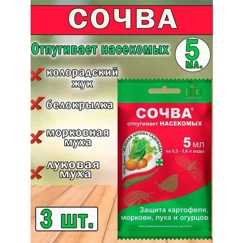 ���� �������� �� ���������� ����� 5��, ������ �� 192 ���