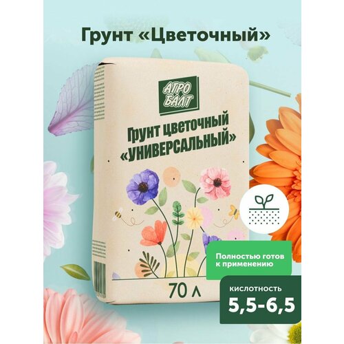 ���� ����� ��� �������� 