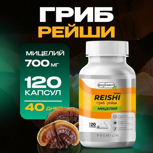 ���� ���� ����� � �������� 700�� ��� ����������, ��� ������, ��� ���, ������ �� 790 ���