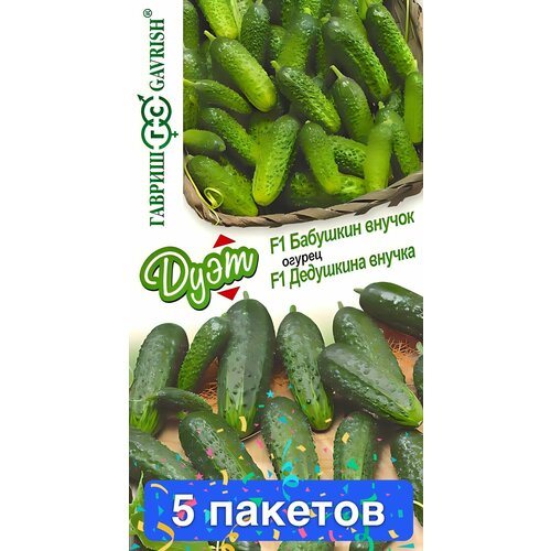 ���� ������ ������ ������ 