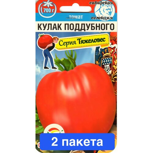 ���� ������ ������ ��������� ��� 