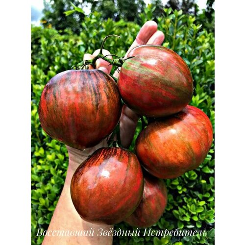 ���� ������������� ������ ����� ����������, ������ �� 104 ���