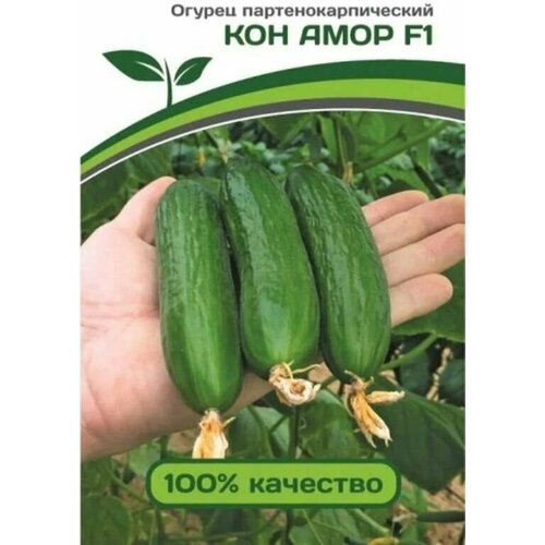 ���� ������������� ������ ������ ��� ���� F1, ������ �� 101 ���