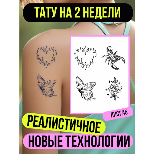 ���� ���� ���������� �������������� ��������, ������ �� 411 ���