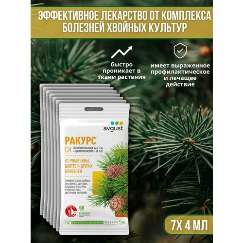 ���� �������� �� �������� ������� ��������, ��������� ��� ������ � �����, ��������� ������ 4 �� 7 ��, ������ �� 1127 ���